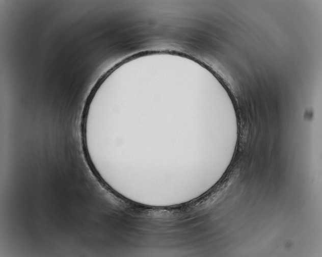 X0000102370943200808291245