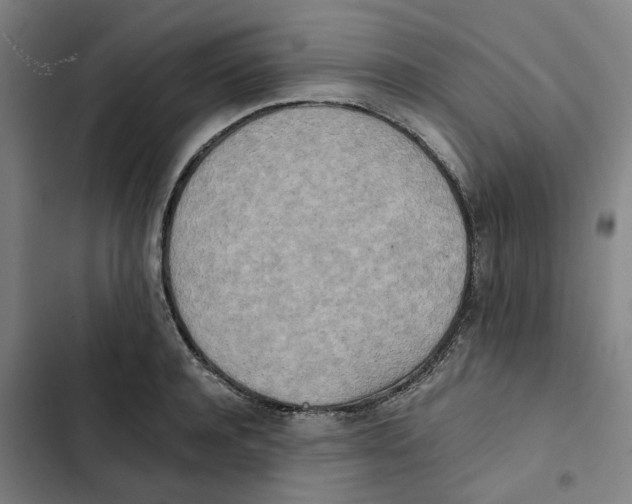 X0000102370944200808291245
