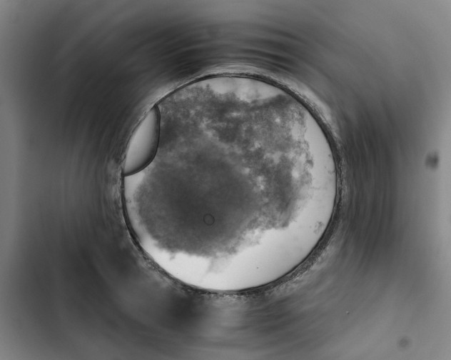 X0000102370945200808291245