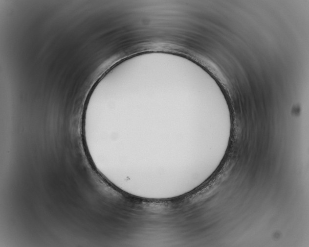 X0000102370946200808291245