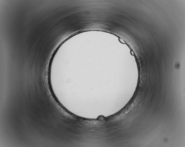 X0000102370949200808291245