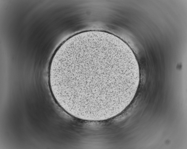 X0000102370950200808291245