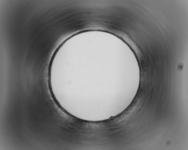 X0000102370951200808291245