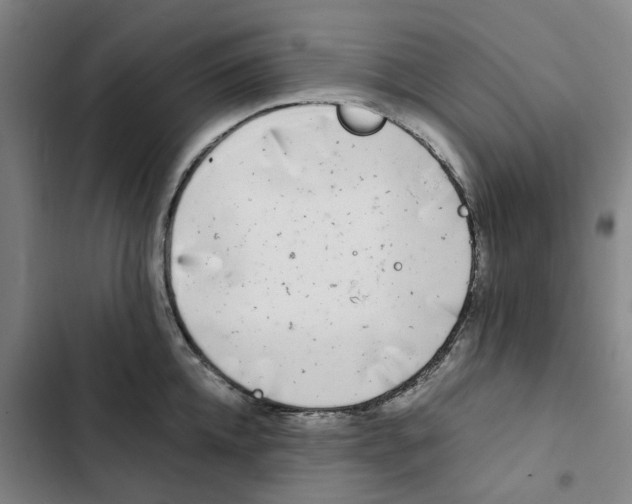 X0000102370952200808291245