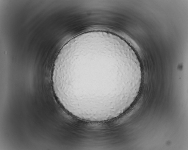 X0000102370953200808291245