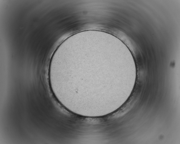 X0000102370954200808291245