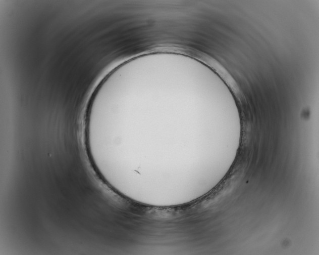 X0000102370955200808291245