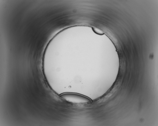 X0000102370956200808291245