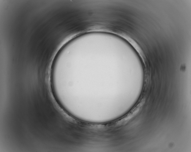 X0000102370957200808291245