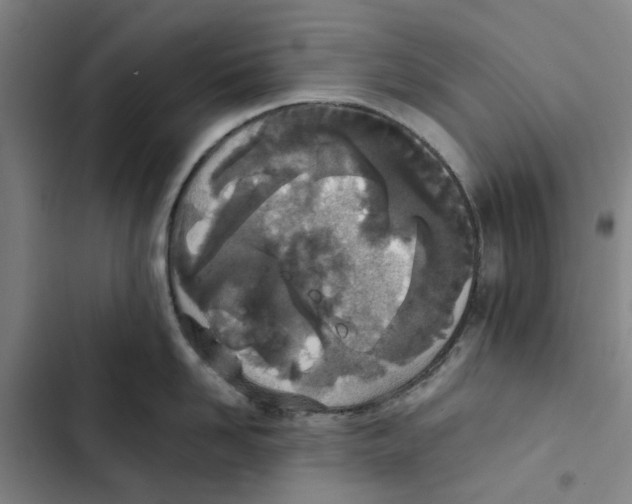 X0000102370958200808291245