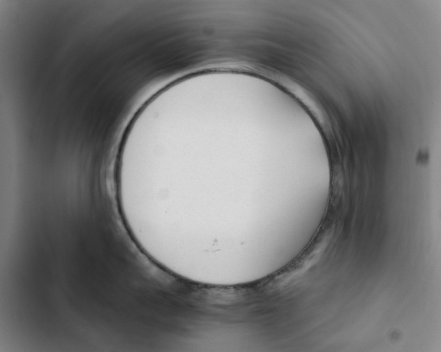X0000102370959200808291245