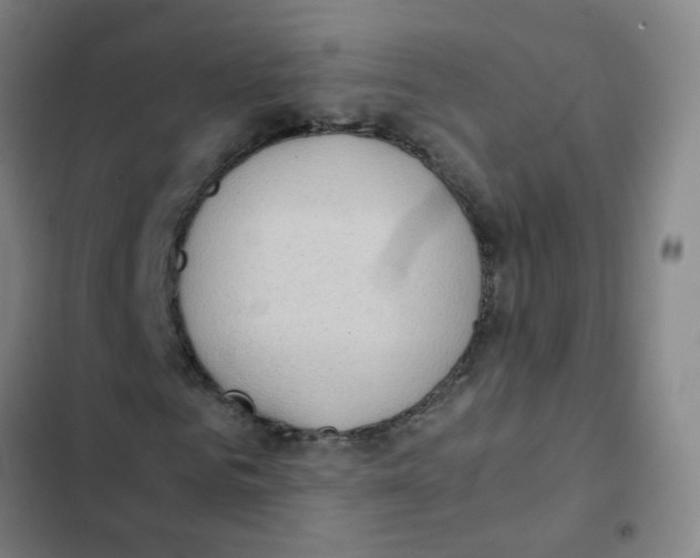X0000102370961200808291245