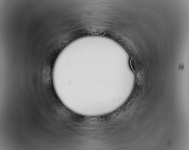 X0000102370963200808291245
