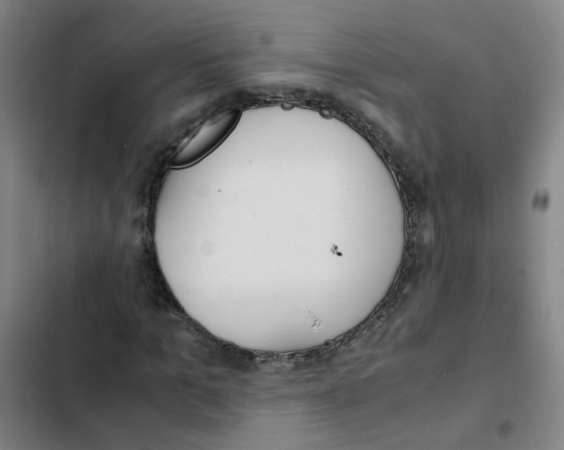 X0000102370965200808291245