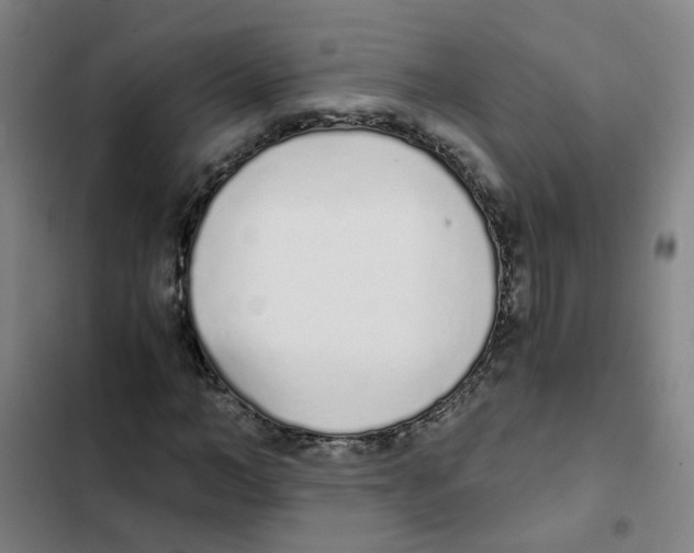X0000102370966200808291245