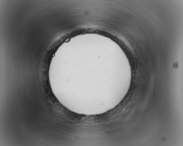X0000102370967200808291245