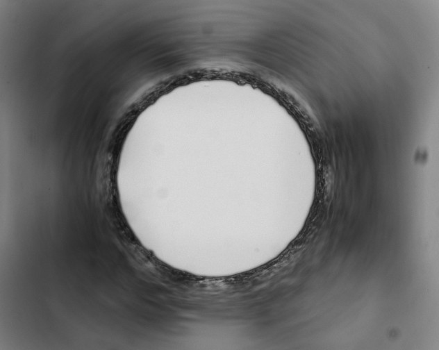 X0000102370968200808291245