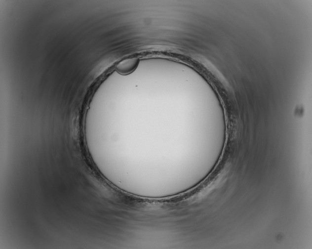 X0000102370969200808291245