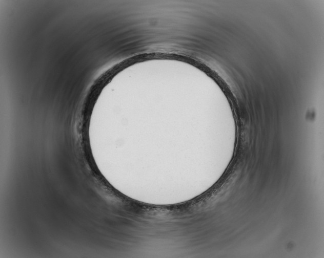 X0000102370971200808291245