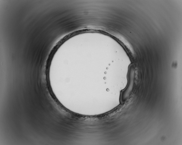 X0000102370972200808291245