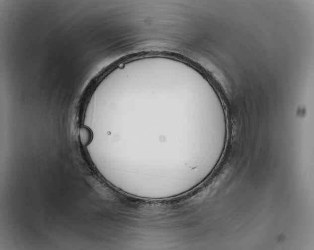 X0000102370973200808291245