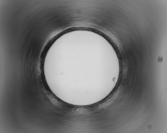 X0000102370974200808291245