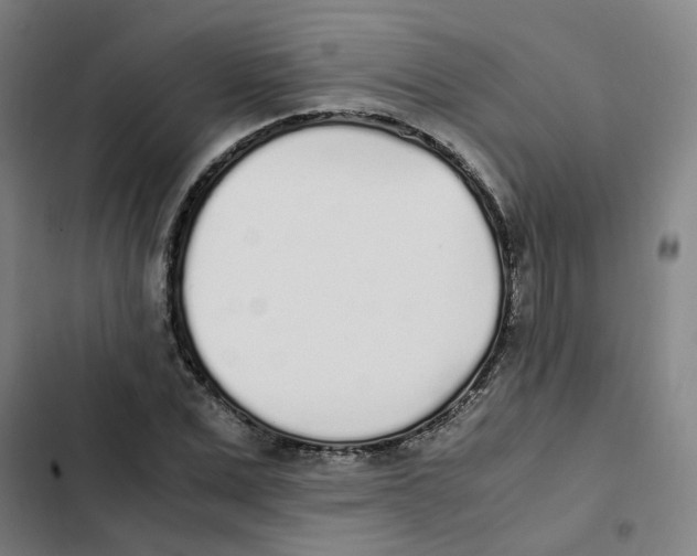 X0000102370975200808291245