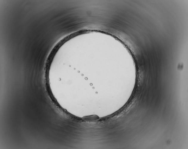 X0000102370976200808291245