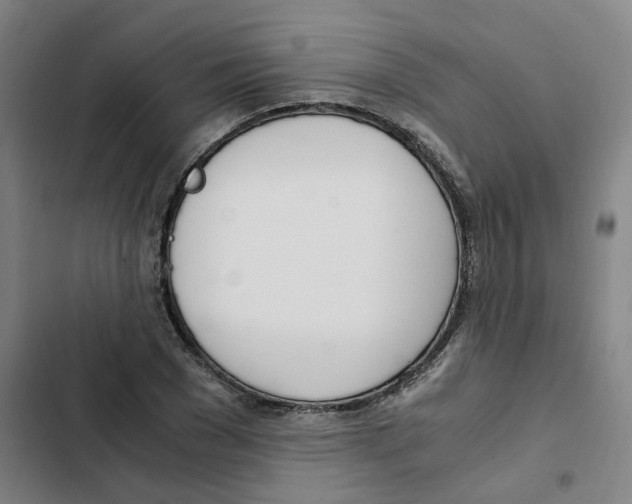 X0000102370977200808291245