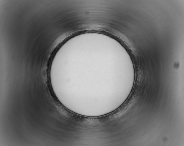 X0000102370978200808291245
