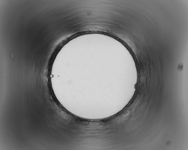 X0000102370979200808291245