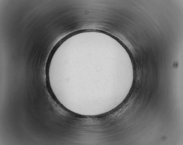 X0000102370980200808291245