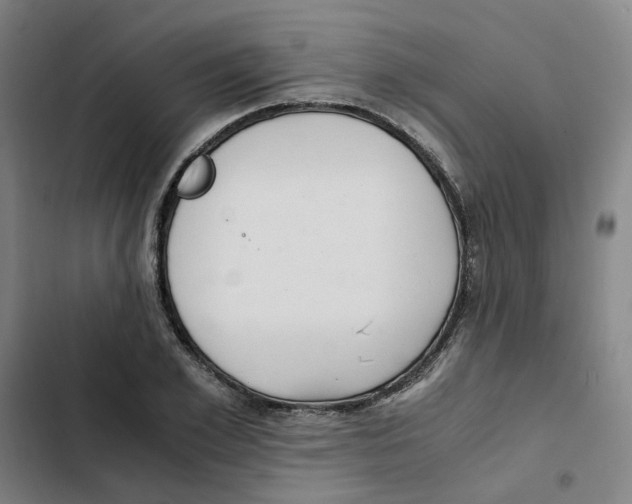 X0000102370981200808291245