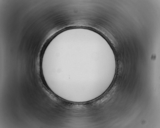 X0000102370982200808291244