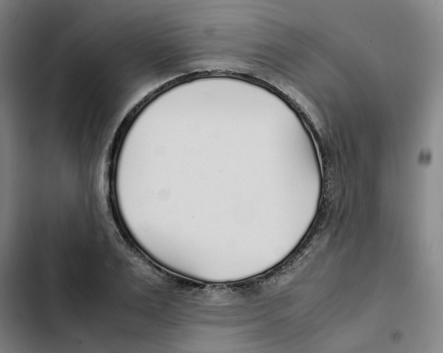 X0000102370983200808291244