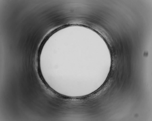 X0000102370984200808291244