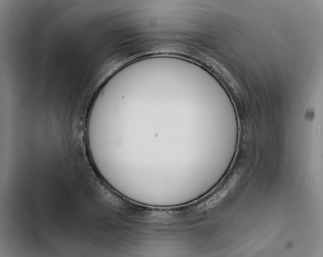 X0000102370985200808291244