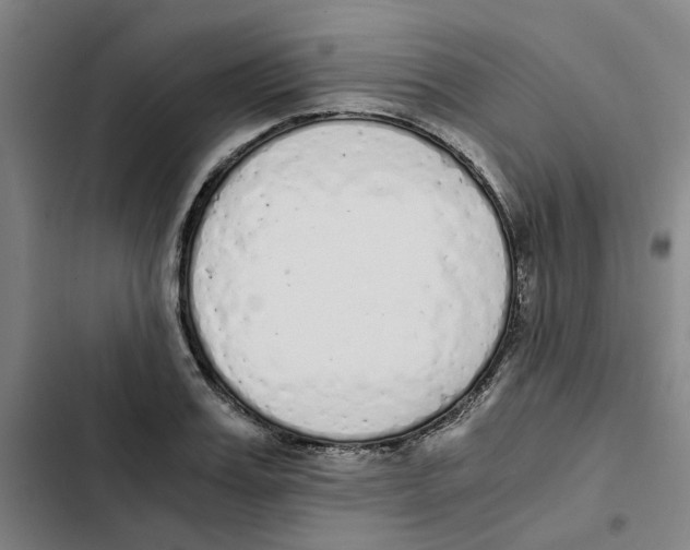 X0000102370987200808291244