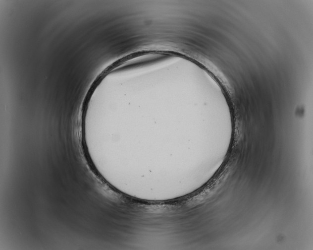 X0000102370988200808291244