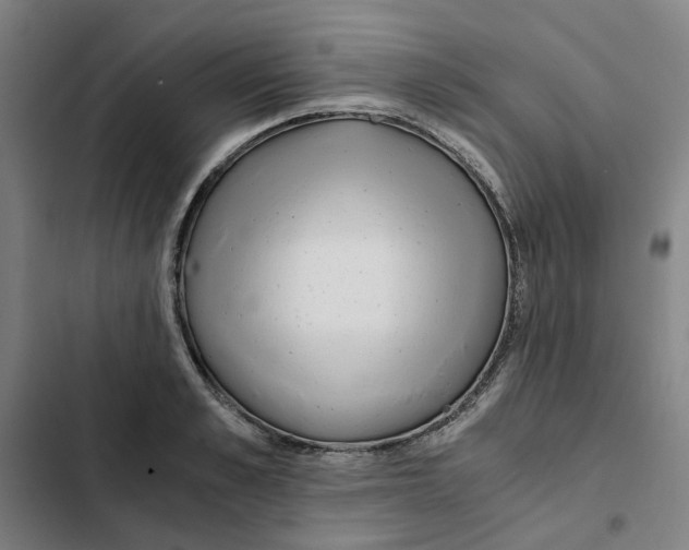 X0000102370989200808291244