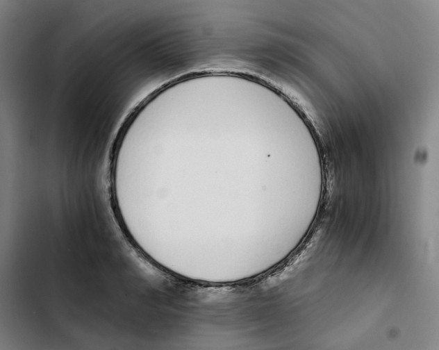 X0000102370990200808291244