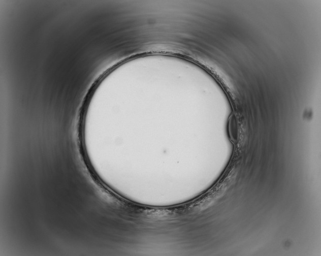 X0000102370991200808291244