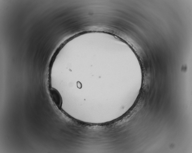 X0000102370992200808291244