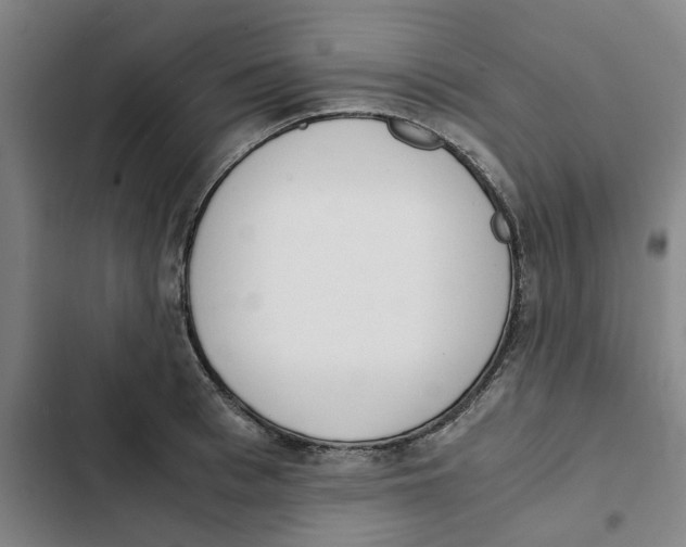 X0000102370993200808291244
