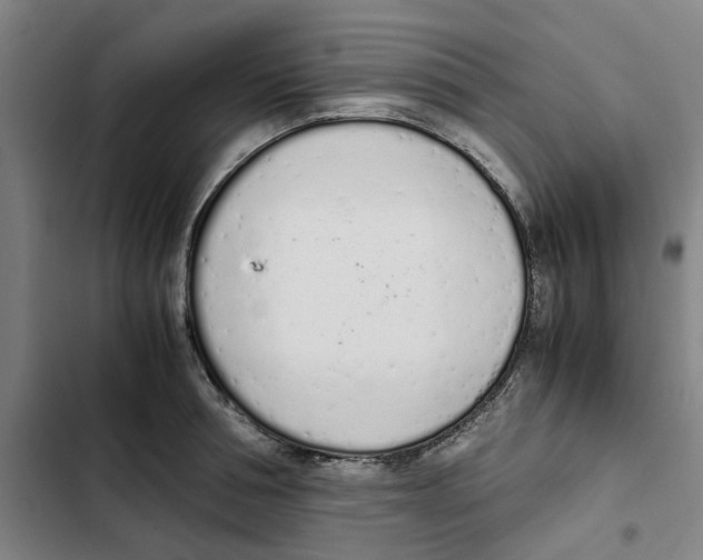 X0000102370994200808291244