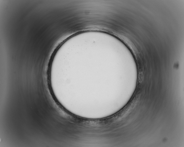 X0000102370995200808291244