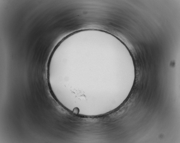 X0000102370996200808291244