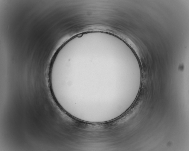 X0000102370997200808291244