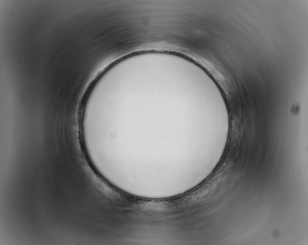 X0000102370998200808291244