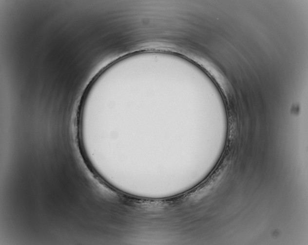 X0000102370999200808291244